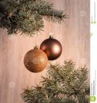 Quelle dell�albero