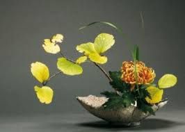 L�ikebana non � un fiore!