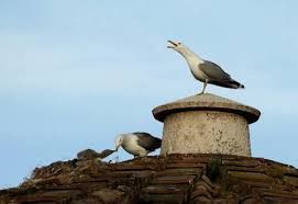 La fine dell�estate