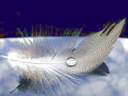 Ricordo di un Aprile