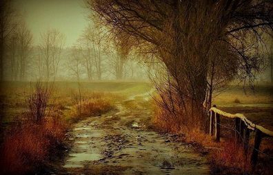 Pellegrino di attimi