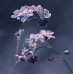 Ci� che resta degli anni