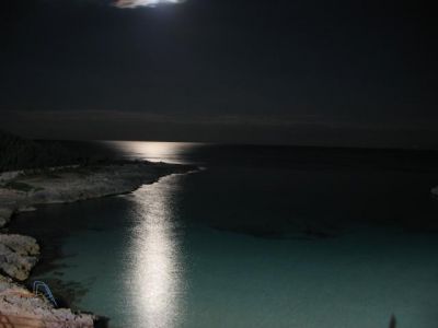 Con la testa nel mare