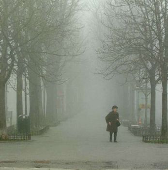 Nebbia