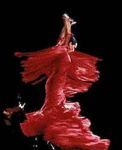 Flamenco