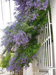 Ascolta...è autunno