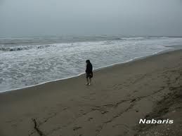 L'inverno del mio scontento