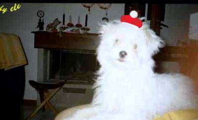 Le volte che non rifletto