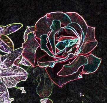 Non mostrarti stanotte  