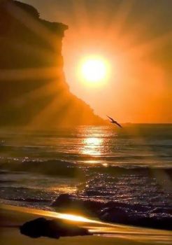 La tenerezza della notte