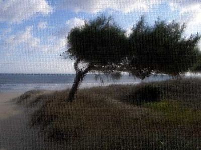 Quella voce di vento