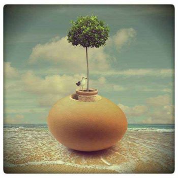 Cercandomi ti scopro