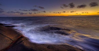 I silenzi hanno la tua voce  