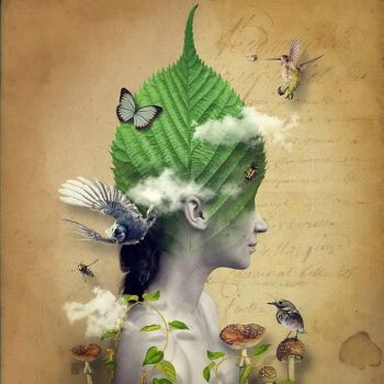 Ancor senza risposta