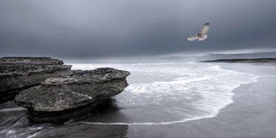 Un sabato al mattino