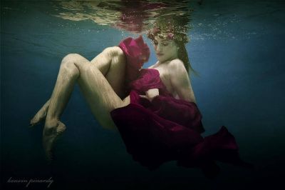 Il fiore della follia