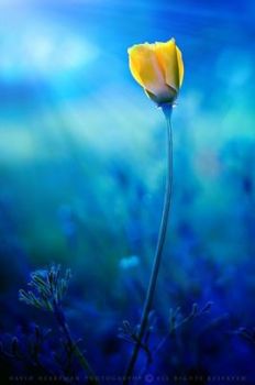 Tutti gli attimi del mondo