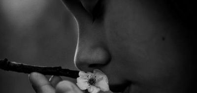 Il respiro del vento