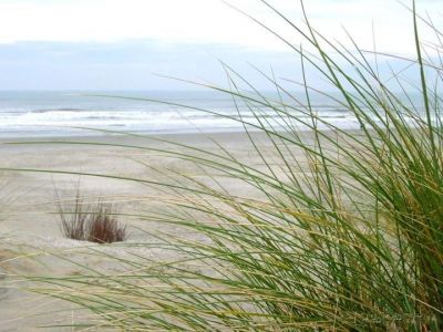 Impronte di un attimo