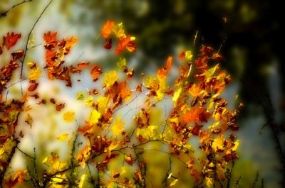 Il filo delle stagioni