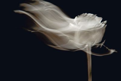 La nostra, che non č poesia