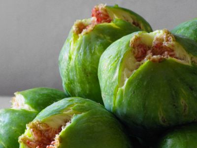 Ci� che al tempo scolora