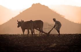 Io che non soffro... soffro!