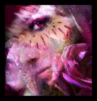 La piuma rosa della nuova rosa  