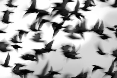 Fate il punto su chi io sia