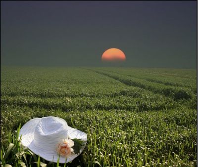 Il per sempre non puoi dirlo  