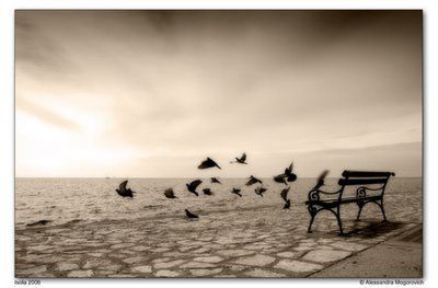 Segui la voce del cielo