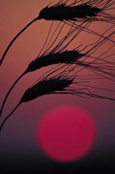 Di un giorno senza te