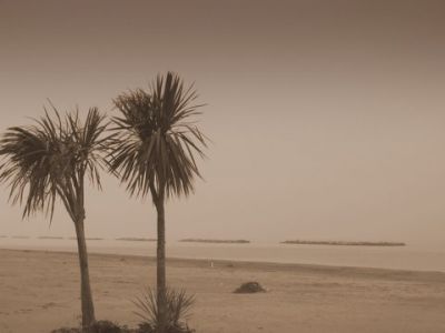 Momenti di solitudine  