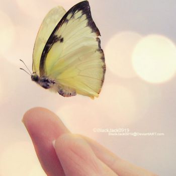 Je t'aimerai, en silence