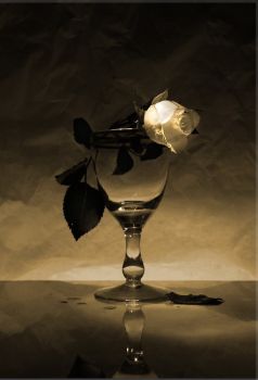 Nel tuo sguardo più triste