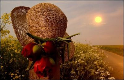 Siamo vento dello stesso fiore