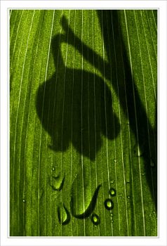 Di un mattino d'inverno  