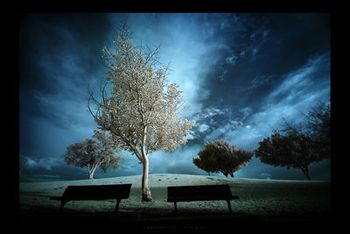 I giorni che non hai