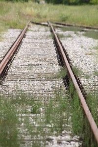 Dove non tornano le rondini