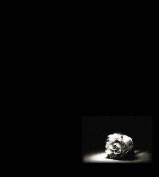 Il cielo � gi� nel buio  