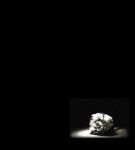 Il cielo � gi� nel buio  