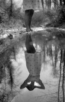 Nel riflesso rimasto sul viale