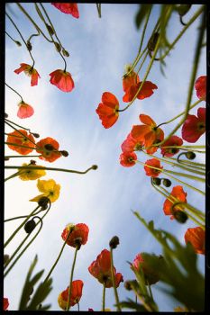 Acquerelli di nuvole