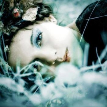 Les secrets de la nuit