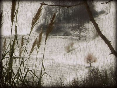 Ho perduto le parole