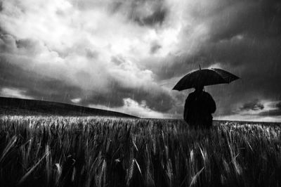 Sei grano quando piove