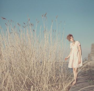 Nel breve di una stanza