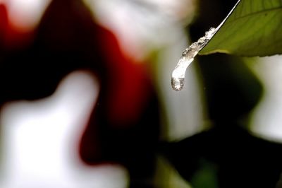 Io che torno in nube