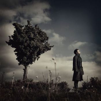 Il mio nome che cade