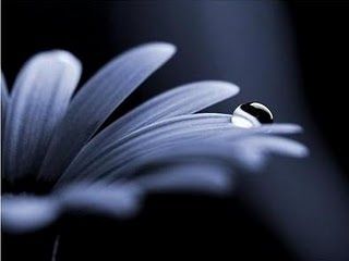 L'amore che mi resta